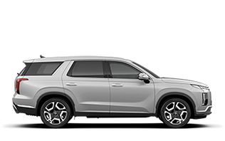 Hyundai Palisade New